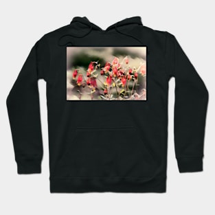 Wind Washed Flowers Hoodie